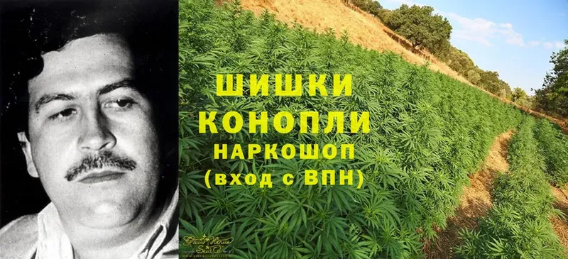 Шишки марихуана OG Kush  даркнет сайт  Каргат 